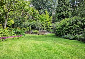 Optimiser l'expérience du jardin à Chatenay-sur-Seine